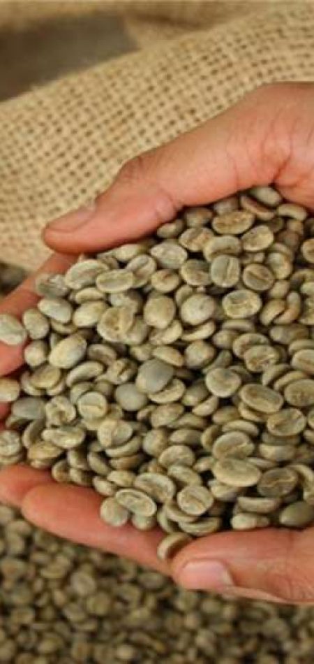 seeds-fertilisers-and-chemicals-burundi-single-origin-arabica-green-coffee-beans-id-68410523-type-main.jpg